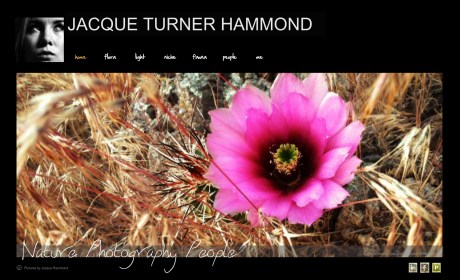 jacquelineturnerhammond_website copy