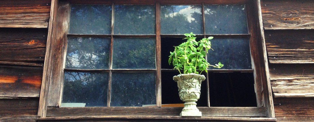 growing possibilities