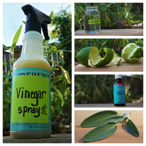 DIY Sage & Lime Cleaning Spray