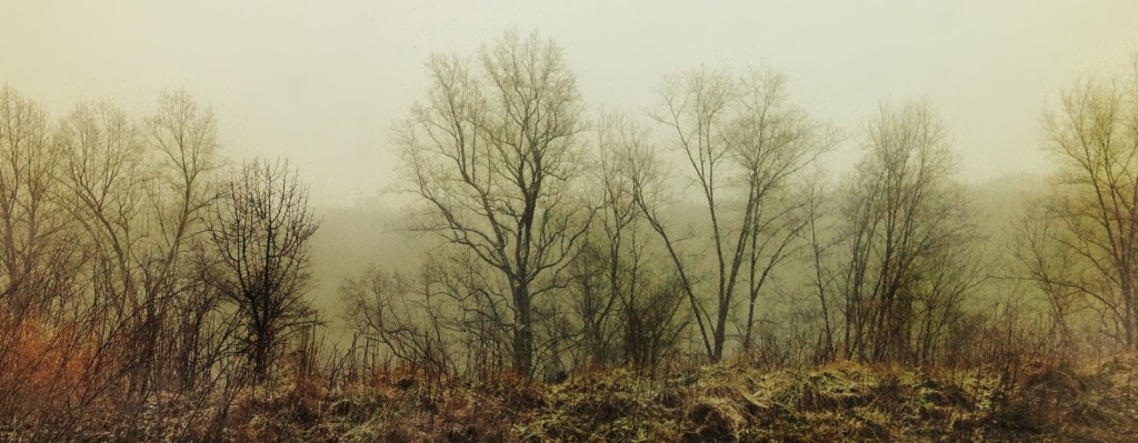 veins of the&nbsp;earth