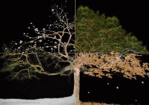 winter-spring-summer-fall